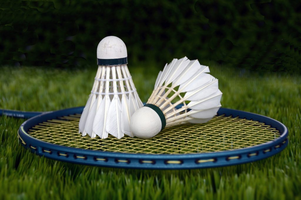 Best mixed doubles pair ever in badminton