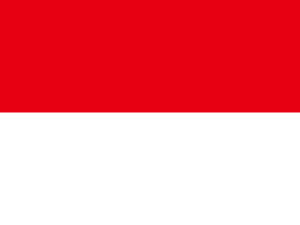 Rackets of professional badminton players from Indonesia