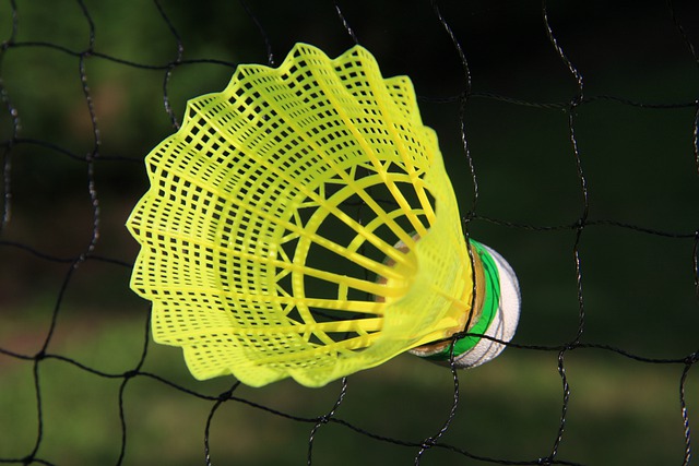 Yonex 4 player garden badminton set posts and bag net rackets 