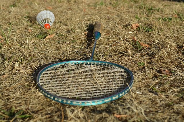 Top 10 Best Badminton Sets with Rackets and Shuttles