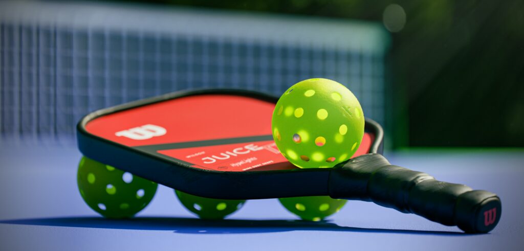 Top 10 Best Pickleball Sets with a Net